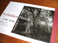 forbidden-forest
